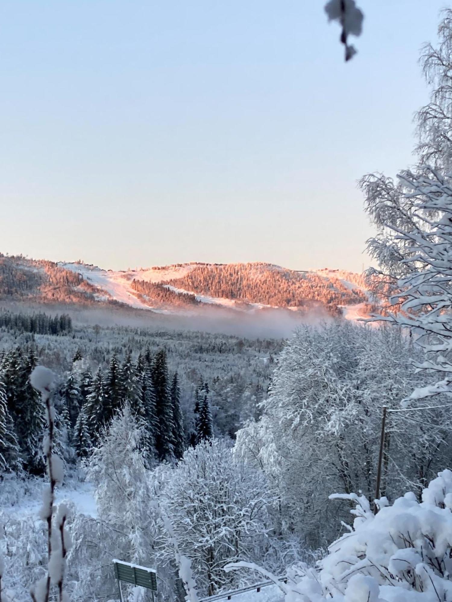 Charmig Villa Med Bastu Och Snabbt Wifi Långav Exterior foto